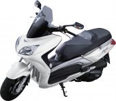 2010 TGB X motion 250 EFI photo